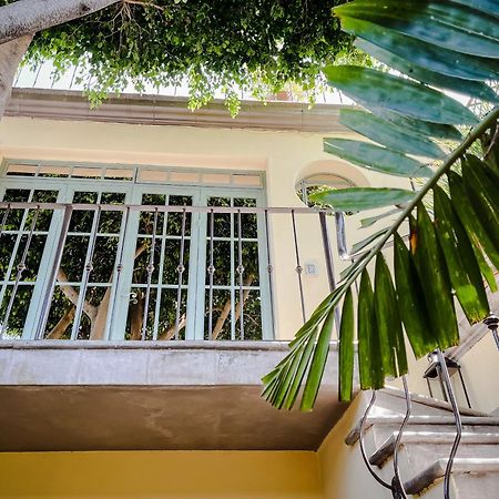 Casa Florida Bed and Breakfast San Miguel de Allende Exteriör bild