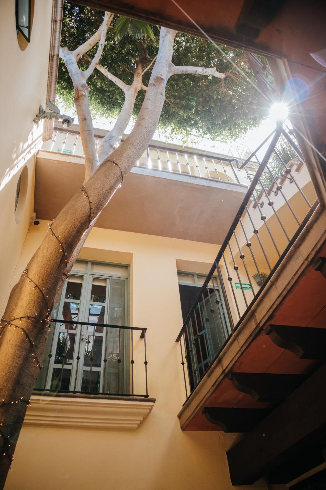 Casa Florida Bed and Breakfast San Miguel de Allende Exteriör bild