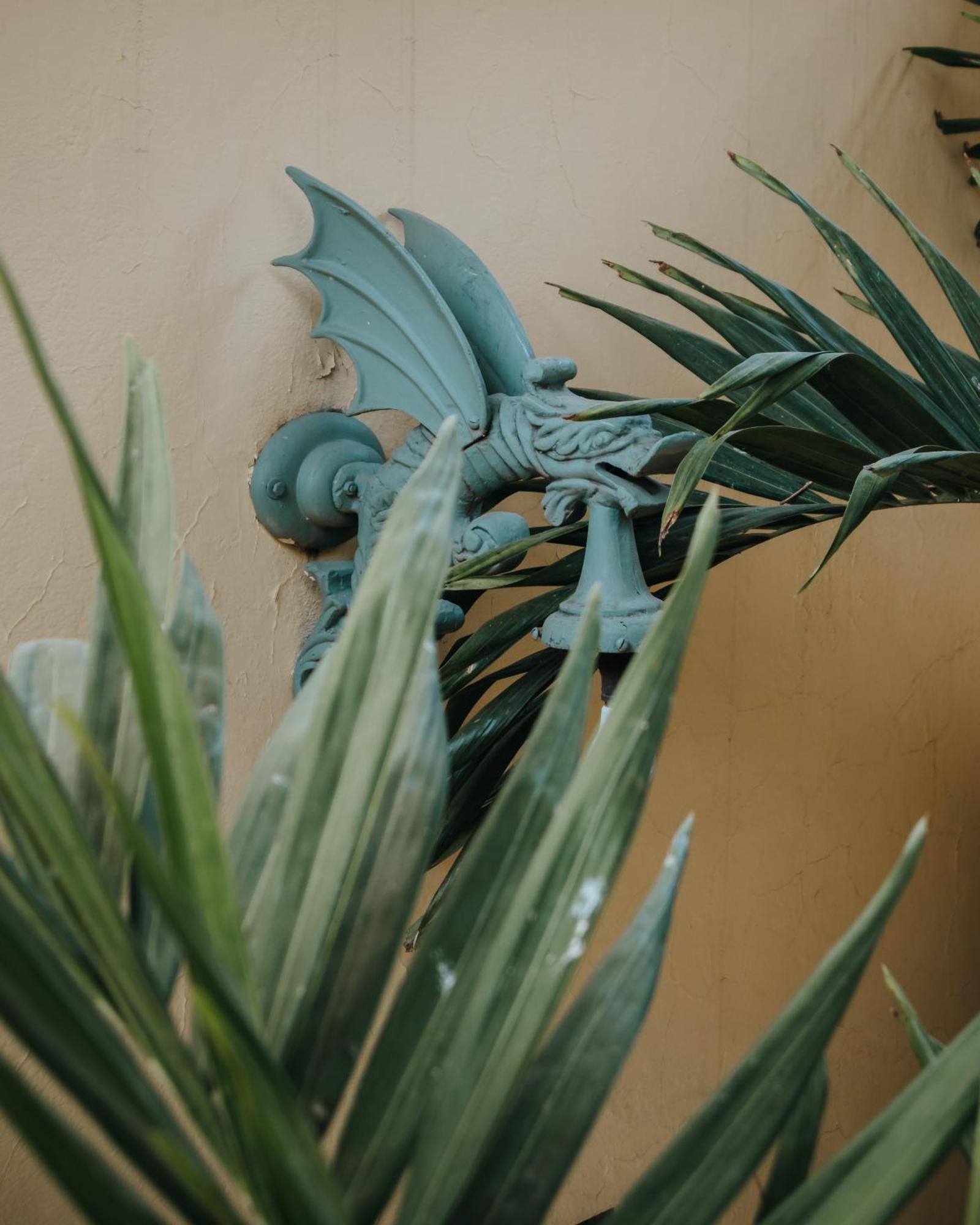 Casa Florida Bed and Breakfast San Miguel de Allende Exteriör bild